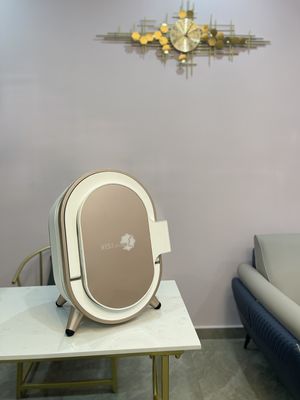 Analizzatore professionale dell'umidità, macchina facciale dell'analizzatore dell'umidità per preoccuparsi facile del portatile del CE del dottore Skin Therapist